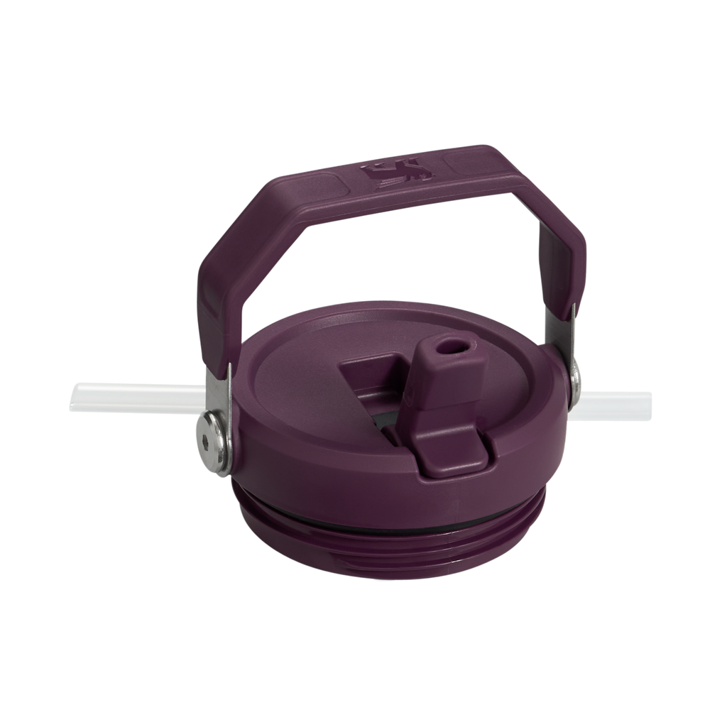 The IceFlow™ Flip Straw Tumbler | 20 OZ - Stanley Create